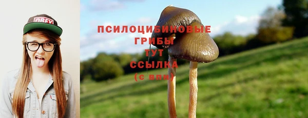 экстази Алзамай