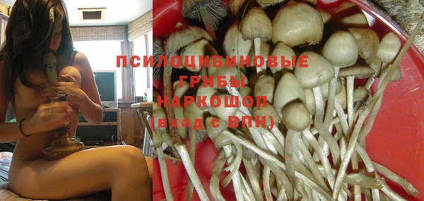 spice Алексеевка