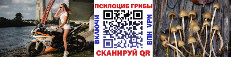 MEGA ссылки  Коряжма  Галлюциногенные грибы Psilocybe 