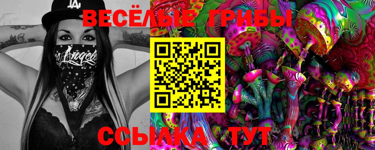 Псилоцибиновые грибы Psilocybine cubensis  Вход с VPN  Коряжма 